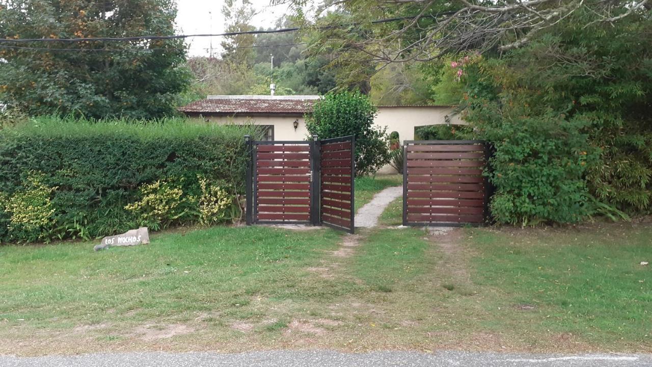 Los Mochos Portezuelo Punta del Este Exteriör bild